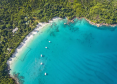 注冊塞舌公司類型及優(yōu)勢有哪些？