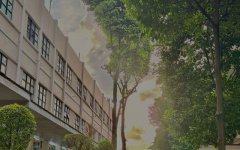 柬埔寨開工廠，難度究竟藏在哪?