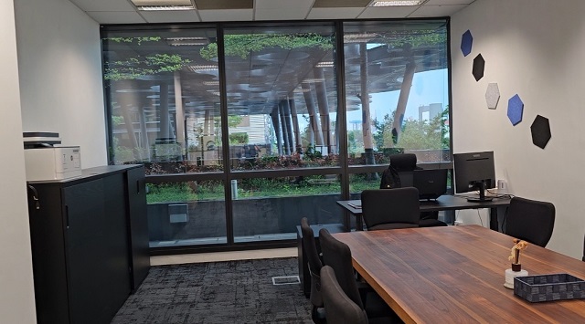 開曼公司年審關(guān)鍵注意事項:避坑指南與合規(guī)要點