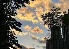 2025上半年，中國(guó)企業(yè)出海刷新全球副本：更猛、更強(qiáng)、更聰明