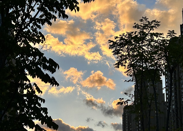 2025上半年，中國企業(yè)出海刷新全球副本：更猛、更強、更聰明